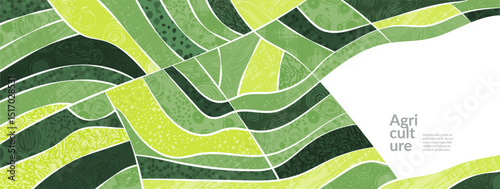 Field and farm landscape with vineyard pattern, corn crop and vector background. Wine crop on hill land, wheat and soy plants. Organic countryside view above vineyard, rural valley, panorama in spring