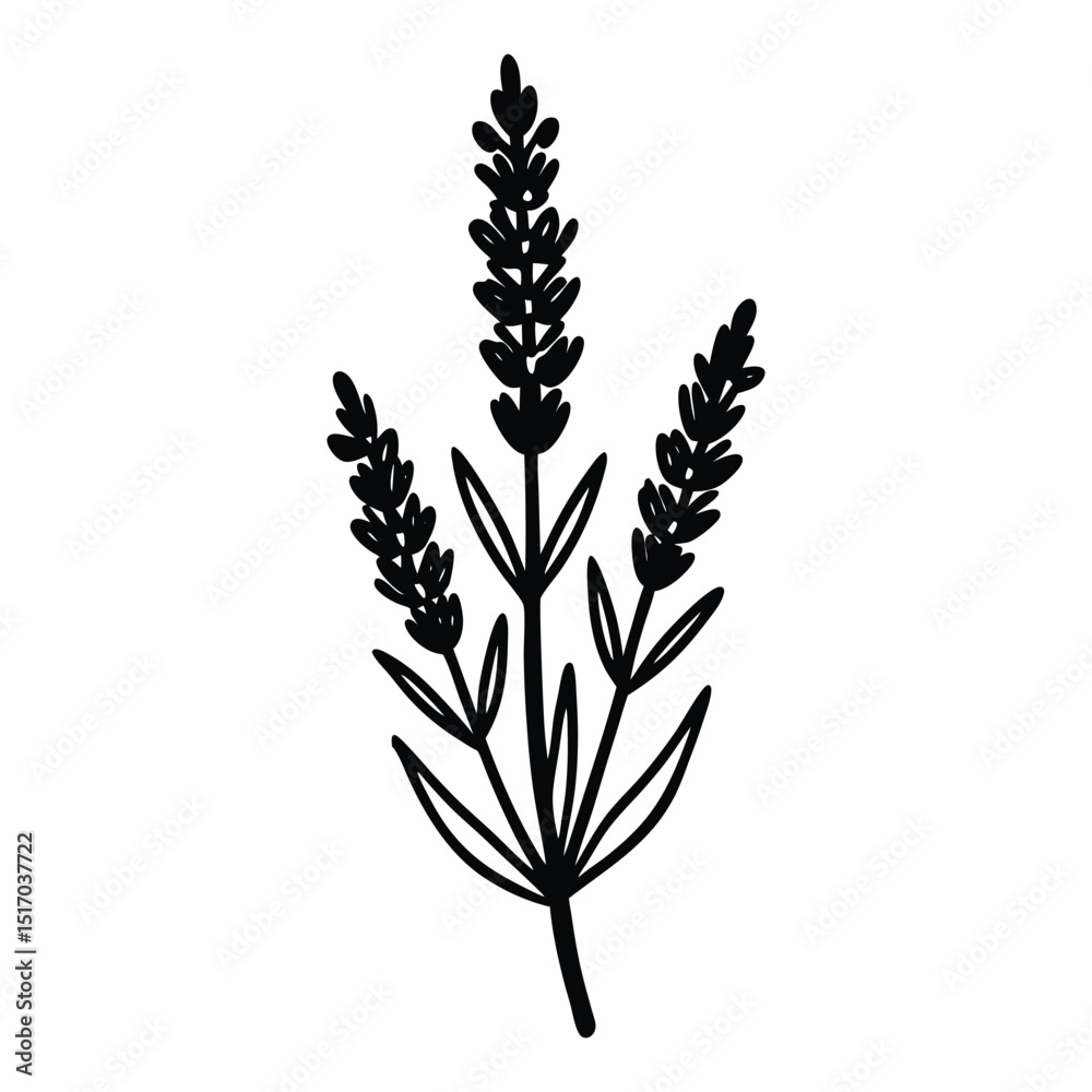 Fototapeta premium lavender sprig icon with small clustered flowers on a tall stem silhouette vector illustration on white background