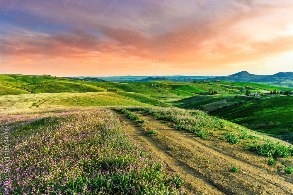 Obraz premium green flowering spring hills in rustic valley with rural road among blossoming grasslands leadung far away to a sunset cloudy sky above horizon