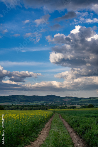 Expansive rural landscape with rolling green and yellow fields under a dramatic sky filled with fluffy cumulus clouds
