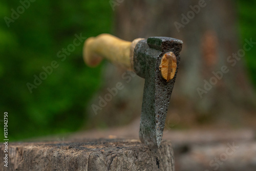 Finnish axe close up in the forest