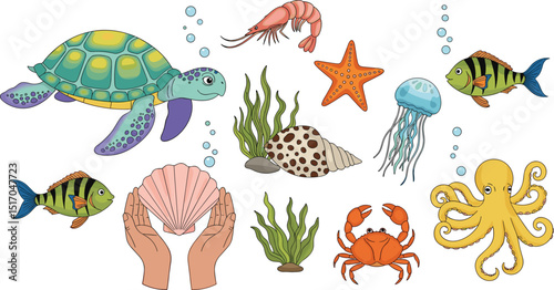 Underwater world. Vector modern abstract illustration of summer, sea, ocean, shell, turtle, crab, jellyfish, fish, shrimp, octopus, starfish, seaweed for icon set, elements or objects