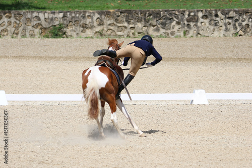 Rider falling off Horse in Competition Arena	