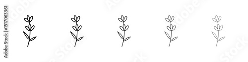Lavender icon graphic set. trendy stroke line style