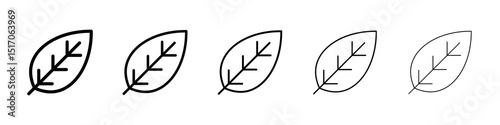 Leaf icon graphic set. trendy stroke line style