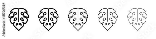 Monstera deliciosa plant leaf icon graphic set. trendy stroke line style
