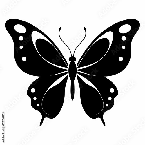 silhouette  of butterfly isolated on white 
