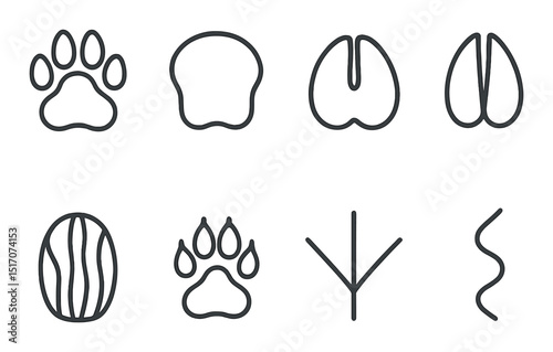Animal footprint linear icon set. wildlife and nature tracking symbols