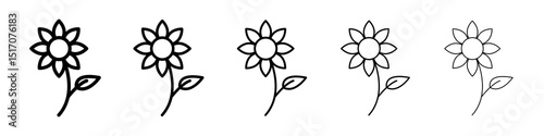 Sunflower icon graphic set. trendy stroke line style