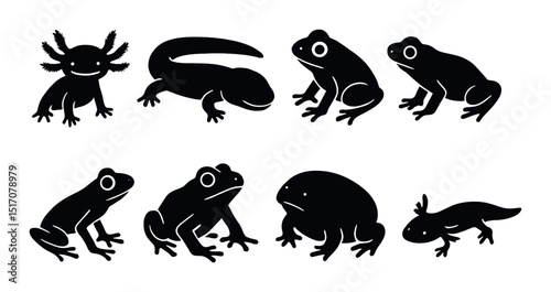 Amphibian silhouette icon set. frog, salamander, and newt graphics