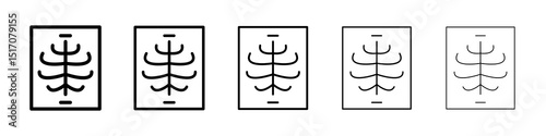 X ray icon graphic set. trendy stroke line style