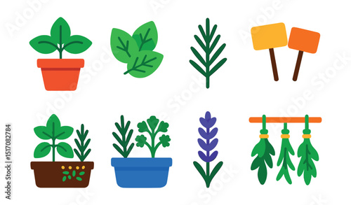 Flat vector icons of herbs and aromatic plants: basil in pot, mint leaves, rosemary sprig, herb labels, kitchen herb garden, indoor herbs tray, lavender icon, drying herbs.
