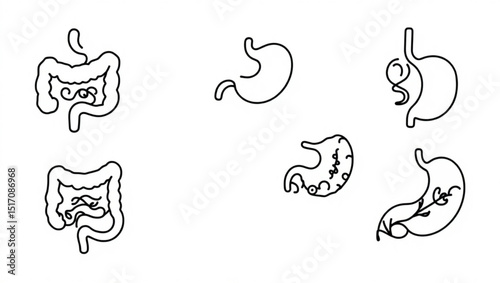 Illustration showing various stomach and intestine drawings in a simple line art style on a white background created with generated ai