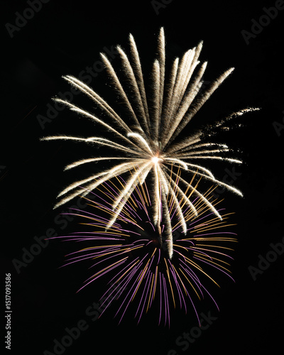 Pair of firework bursts on a black sky, one is white and the other os pink and yellow