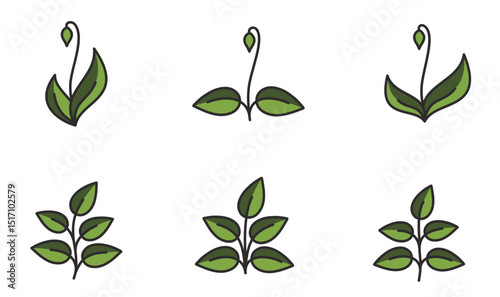 Set of spring plants illustrations in green colors. Floral, planting and nature design elements. Isolated vector images