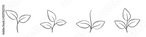 Sprouted plant line illustrations. Nature, gardening and planting design elements. Isolated vector images