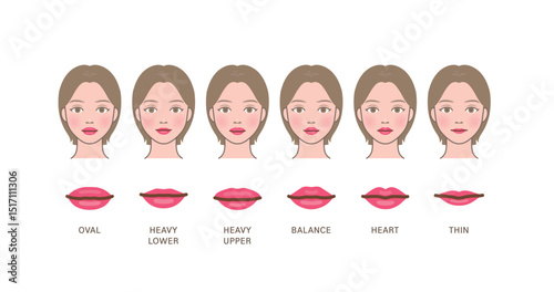 Various(different) types of lip shapes