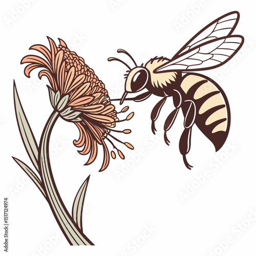 Illustration of a bee approaching a flower with detailed petals and leaves in a stylized drawing style