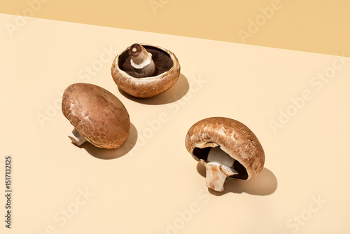 mushroom photo