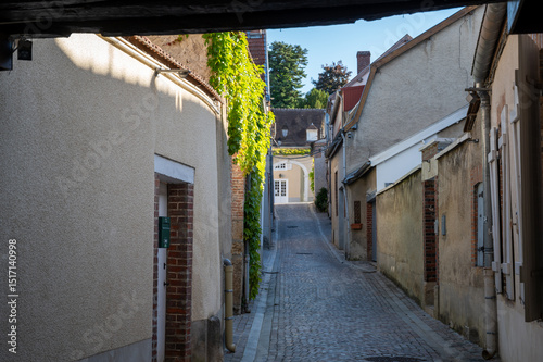 Fototapeta Naklejka Na Ścianę i Meble -  Narrow streets and old houses in grand cru champagne village Ay-Champagne in Marne river valley, France