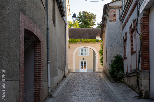Fototapeta Naklejka Na Ścianę i Meble -  Narrow streets and old houses in grand cru champagne village Ay-Champagne in Marne river valley, France