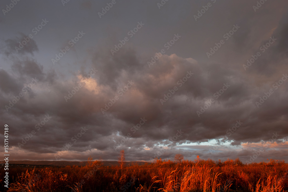 Fototapeta premium Natural beautiful clouds at dawn. Dramatic colorful red-orange to dark gray sky with clouds at sunset or dawn.