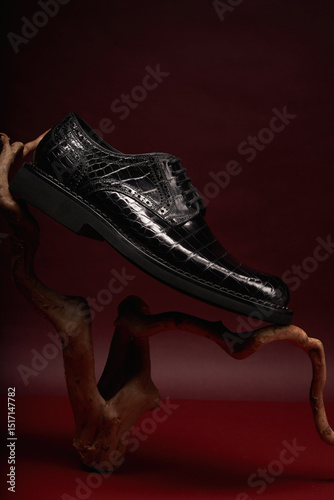 Stylish black leather shoe displayed on artistic wood