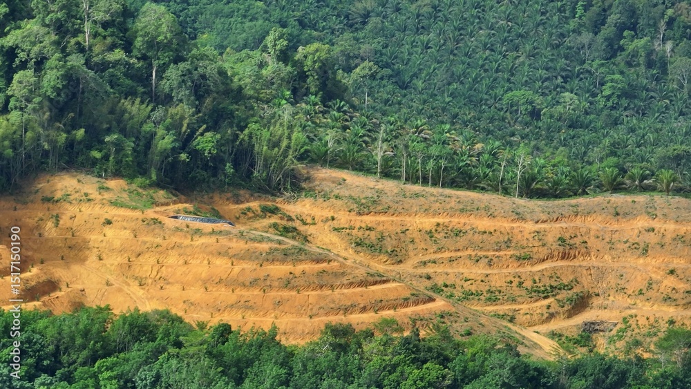 Φωτογραφία The aerial view shows forest loss giving way to barren, eroded terraces