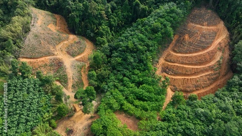 Above the treetops, the drone highlights the stark contrast between lush canopy and cleared land, symbolizing critical habitat loss.

