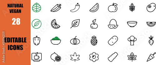 Vector set of natural vegan food icons editable for healthy eating and lifestyle design elements collection