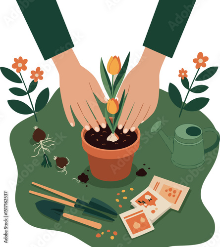 Hands planting tulip flower bulb in pot with gardening tools and watering can vector illustration 
