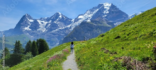 mountain landscape in the alps