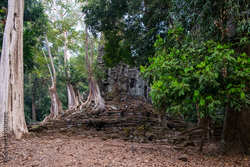 Nature Reclaims the Temple photo