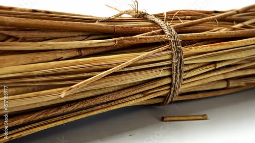 Bundle of Dried Reeds: Rustic, Natural Texture