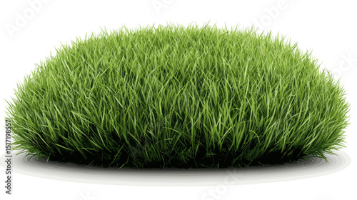 Lush green grass mound isolated on white background  