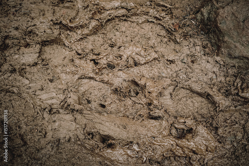 Mud Texture Close-Up Photography of Rich, Deep Brown Mud