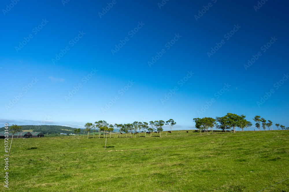 Fototapeta premium Blue sky and farm