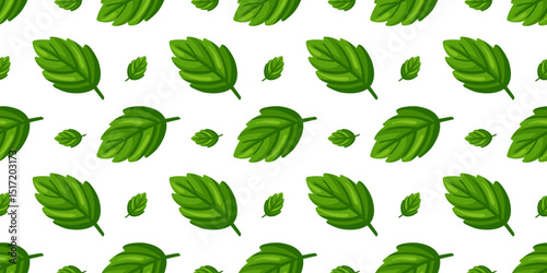 Seamless pattern with large and small green mint leaves arranged in a clean repeat on white background. Cartoon style