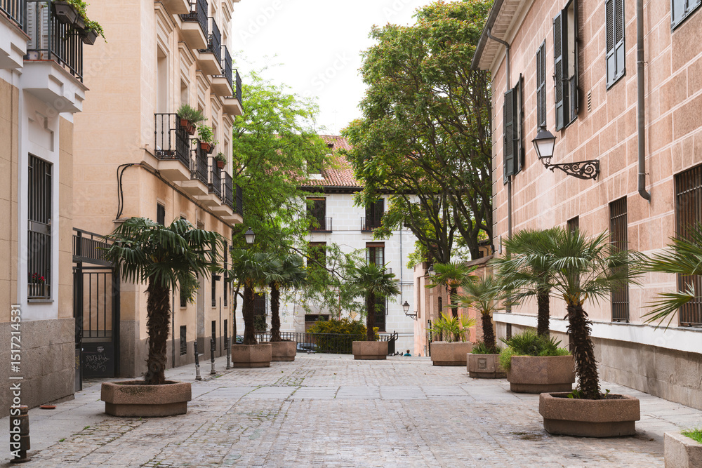Obraz premium Street in old town 