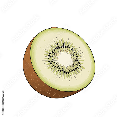CrossSection of a Ripe Kiwi Fruit with Detailed Seeds and Skin