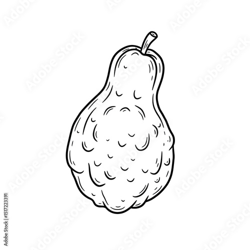 Handdrawn illustration of a warty pear with a short stem in black outline