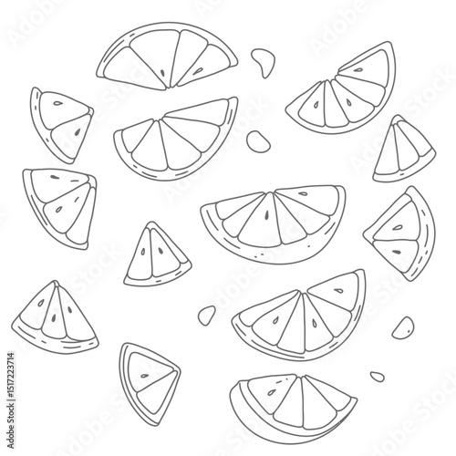 Simple HandDrawn Citrus Slices in Various Shapes and Sizes