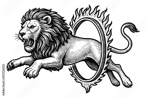 Lion Jumping Through Ring of Fire Detailed Engraving Style Black and White Illustration
