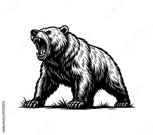 Illustration of an Angry Bear Roaring with Sharp Teeth in Black and White Vector Style