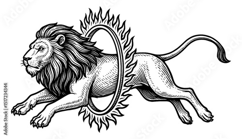 Engraving of a Lion Jumping Through a Ring of Fire in Black and White