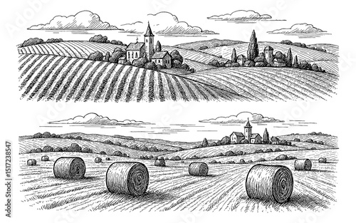 Rural Landscape with Fields, Village, and Hay Bales in Detailed Engraved Style Black and White Vector