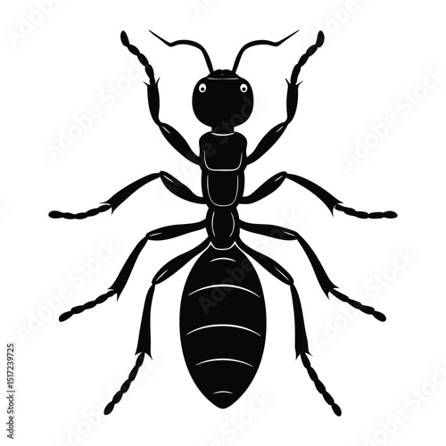 Engraving-style ant silhouette featuring fine lines and detailed contours, showcasing the insect's segmented body, legs, and antennae in a vintage, artistic design.
