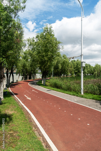 Wallpaper Mural New pathway and beautiful trees track for running or walking and cycling relax in the park Torontodigital.ca