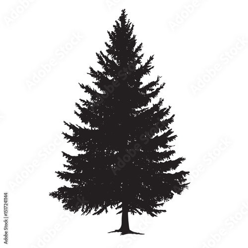 Evergreen Pine Silhouette Vector Illustration