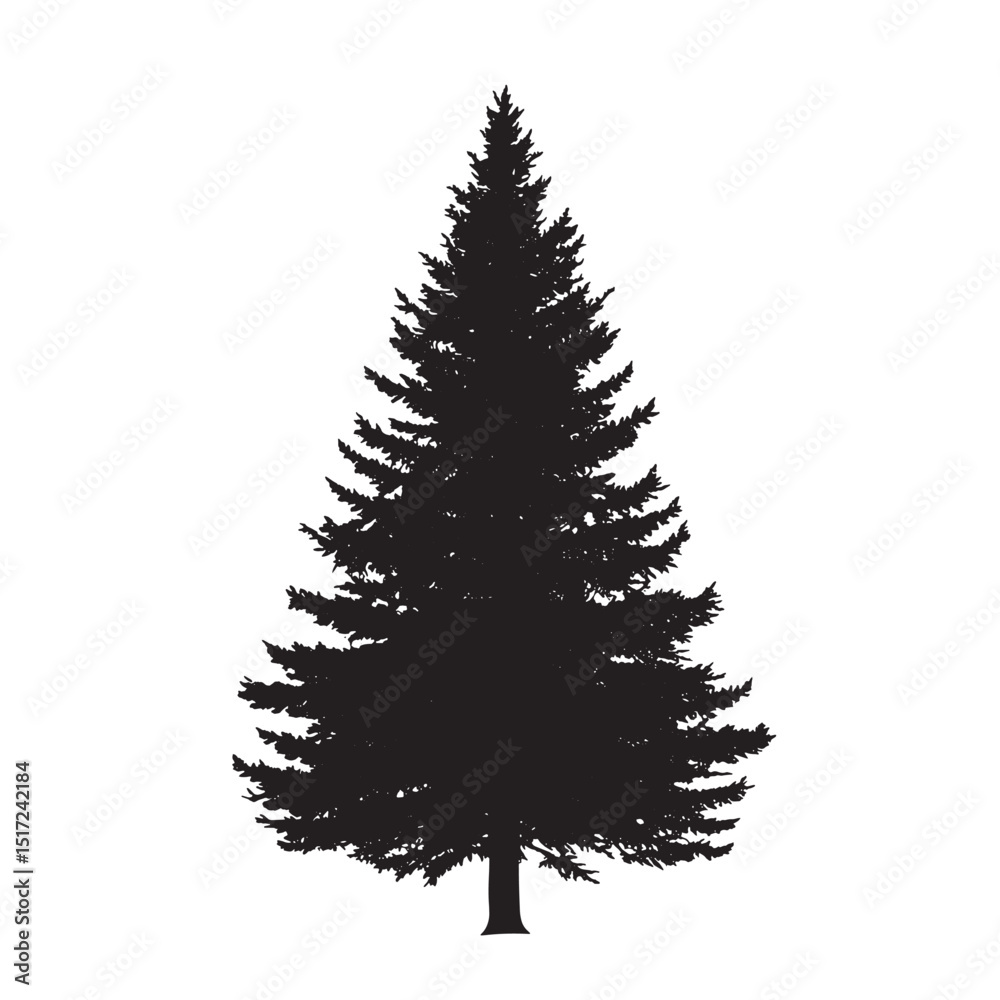 Fototapeta premium Hand-Drawn Pine Tree Silhouette